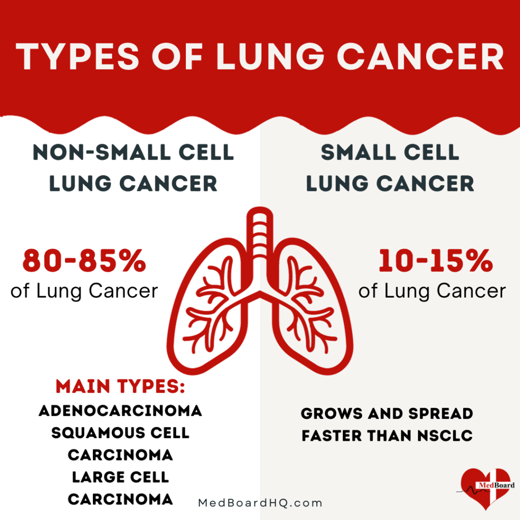 This image visually represents two main types of lung cancer, non small cell lung cancer and small cell lung cancer.